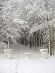 Winterweer