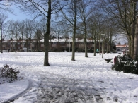 Winterweer
