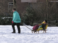 Winterweer
