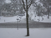 Winterweer