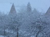 Winterweer
