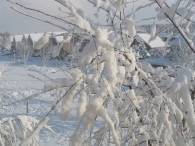Winterweer
