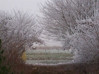 Winters Biddinghuizen