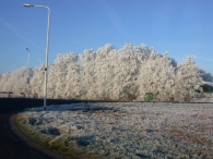 Winters Biddinghuizen