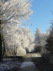 Winters Biddinghuizen