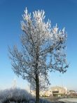 Winters Biddinghuizen