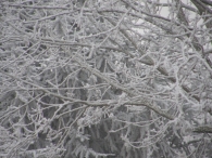 Winters Biddinghuizen