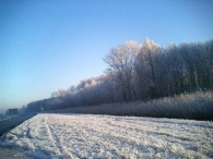 Winters Biddinghuizen
