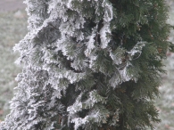 Winters Biddinghuizen