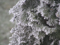 Winters Biddinghuizen