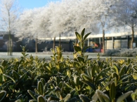 Winters Biddinghuizen