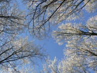 Winters Biddinghuizen