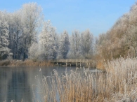 Winters Biddinghuizen
