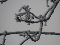 Winters Biddinghuizen