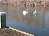 Winters Biddinghuizen