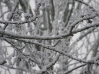 Winters Biddinghuizen