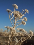 Winters Biddinghuizen