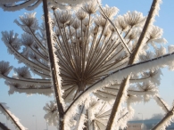 Winters Biddinghuizen