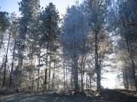 Winters Biddinghuizen