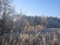 Winters Biddinghuizen