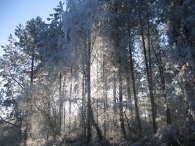 Winters Biddinghuizen