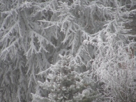 Winters Biddinghuizen