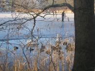 Winters Biddinghuizen