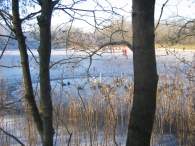 Winters Biddinghuizen