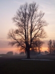 Winters Biddinghuizen