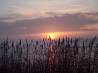 Winters Biddinghuizen