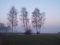 Winters Biddinghuizen