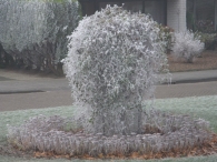 Winters Biddinghuizen