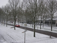 Winters Biddinghuizen