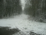 Winters Biddinghuizen