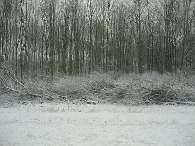 Winters Biddinghuizen