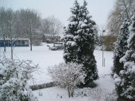 Sneeuw in maart