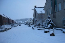 Sneeuw in maart