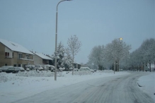 Sneeuw in maart