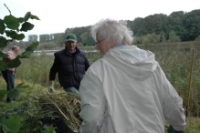 Vrijwilligers werken op 't eiland