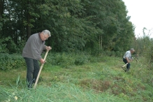 Vrijwilligers werken op 't eiland