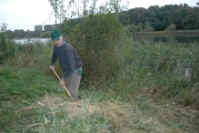 Vrijwilligers werken op 't eiland