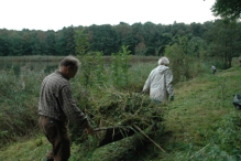 Vrijwilligers werken op 't eiland
