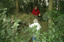 Vrijwilligers werken op 't eiland