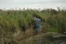 Werkdag natuurstrook van Werven