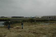 Werkdag natuurstrook van Werven