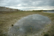 Werkdag natuurstrook van Werven