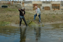 Werkdag natuurstrook van Werven