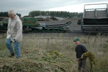 Werkdag natuurstrook van Werven