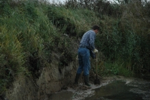 Werkdag natuurstrook van Werven