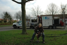 Groeiplaatsverbetering bomen